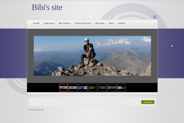 The Bibi's site